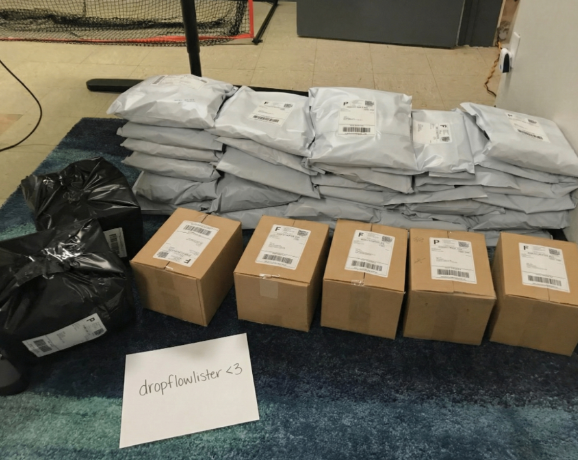 Success evidence showing a large volume of shipped packages and boxes from a business using the DropFlow dropshipping tool.